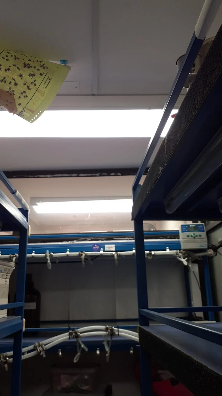 LL Ingeniería y Construcción SpA — registro de trabajo eléctrico 08